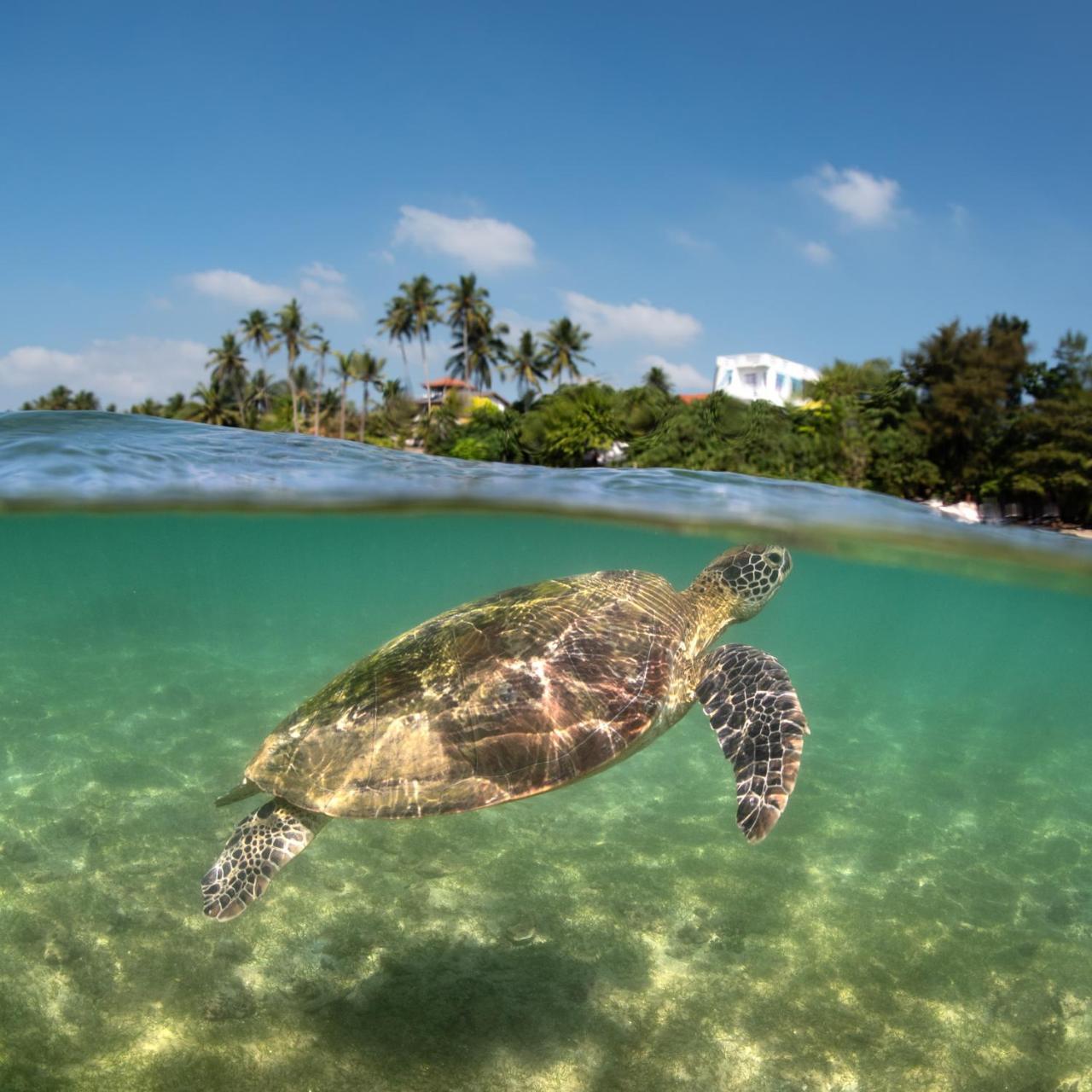 Готель Beach Paradise Матара Екстер'єр фото